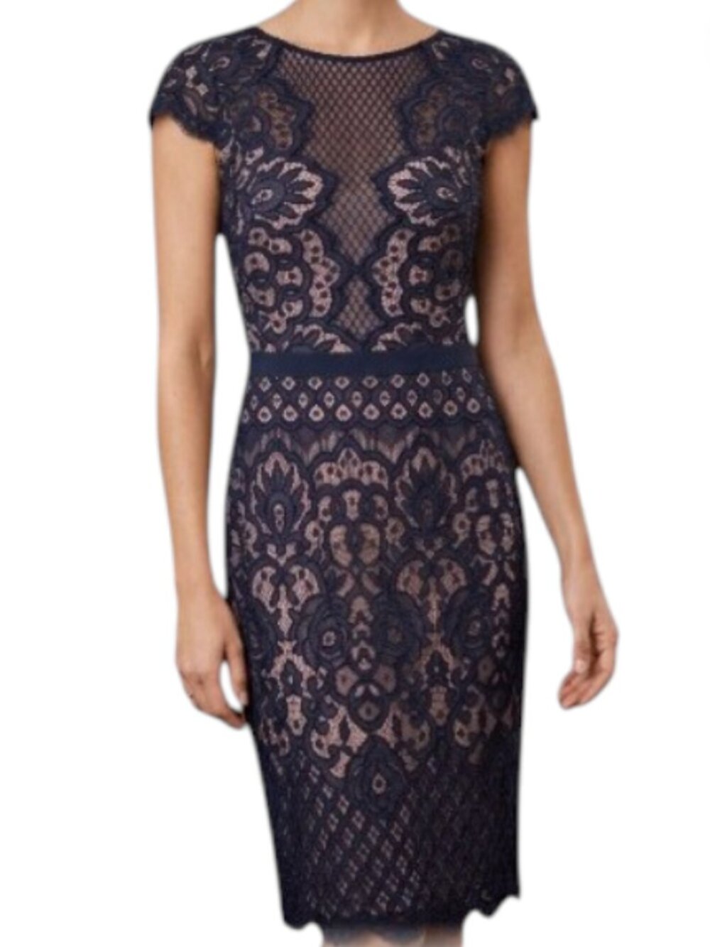 Tadashi Shoji Navy Lace Illusion Knee Length Sheath Dress Size 8 NWT